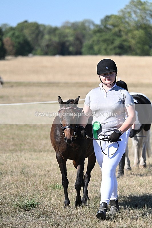 WJ7_1997 - Class 43 Best Six Legs (In hand)