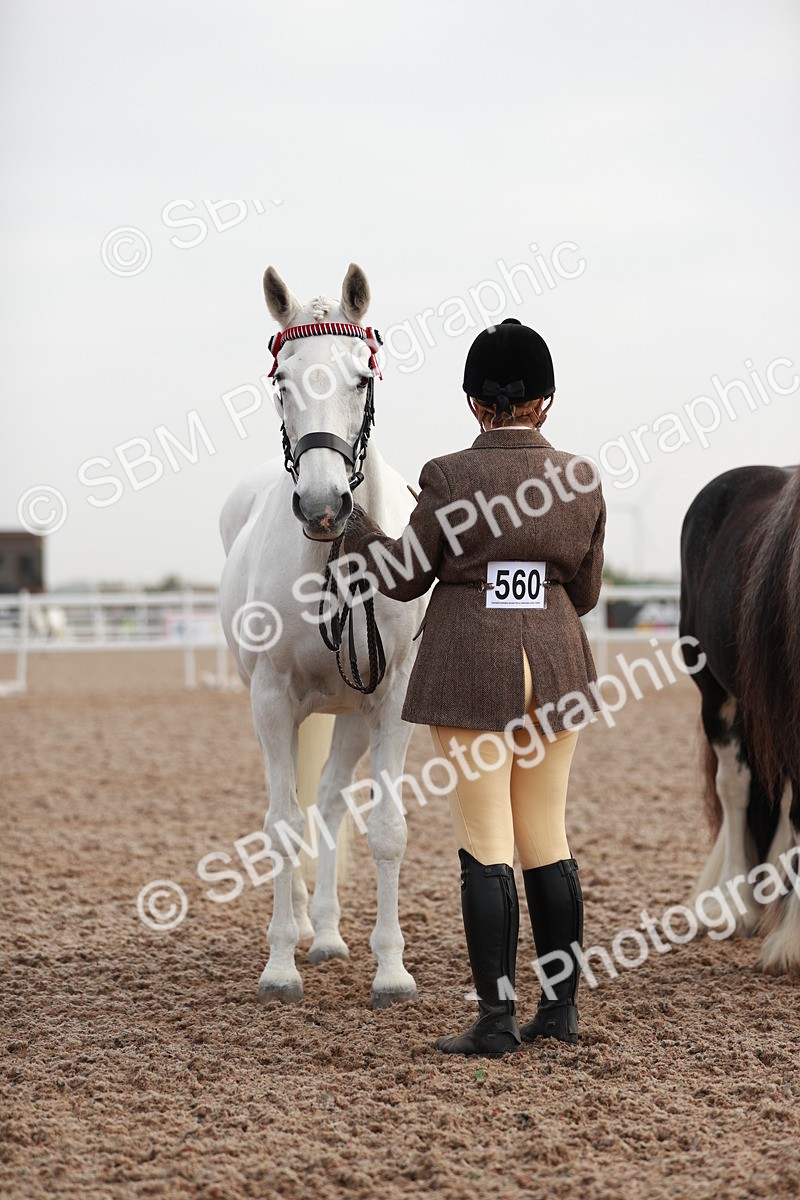 SBM_09522 - Class 201 Best Turned Out IH