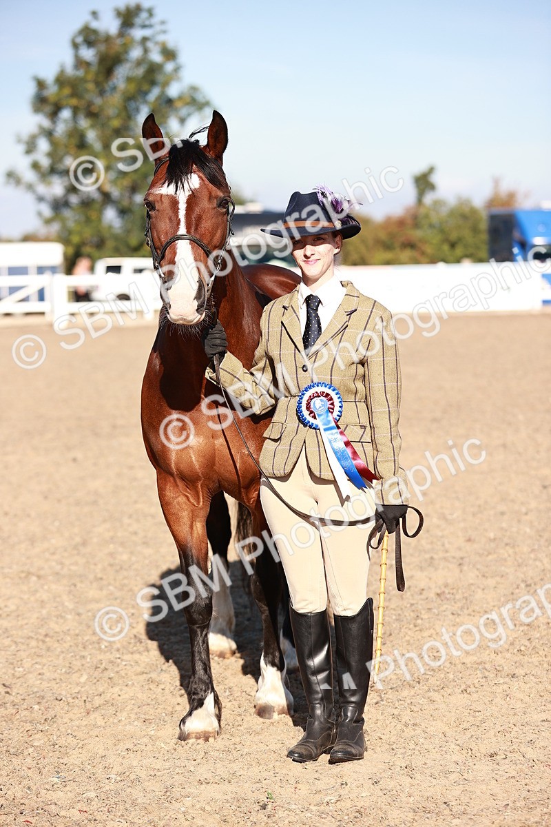 SBM_11463 - Class 402 - IH  Veteran pony