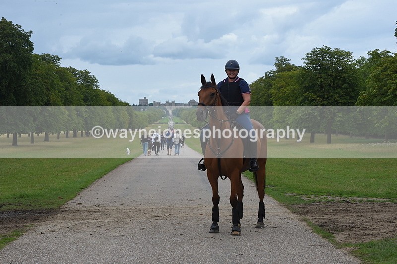 TT3_0065 - Time at Crossing 13:17 to 14:48