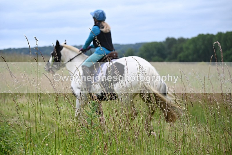 WJ6_8154 - Camera 1 Gallops