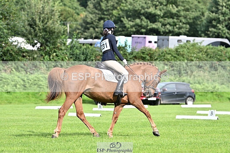 230826-094002-16175 - Sections A & B - 9 to 10am