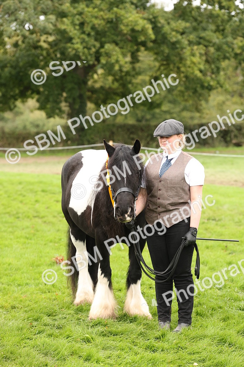 SBM_59371 - S57 - Traditional Cob In Hand