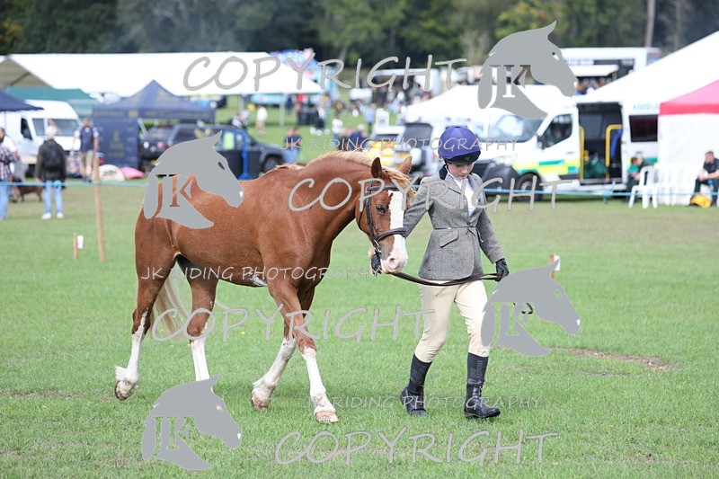 APP_2645 - Class 9 Veterans in hand