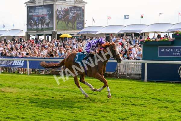 310525-Race 7-Mums Tipple-0349 - Race 7 5.00pm William Hill Best Odds Guaranteed Handicap