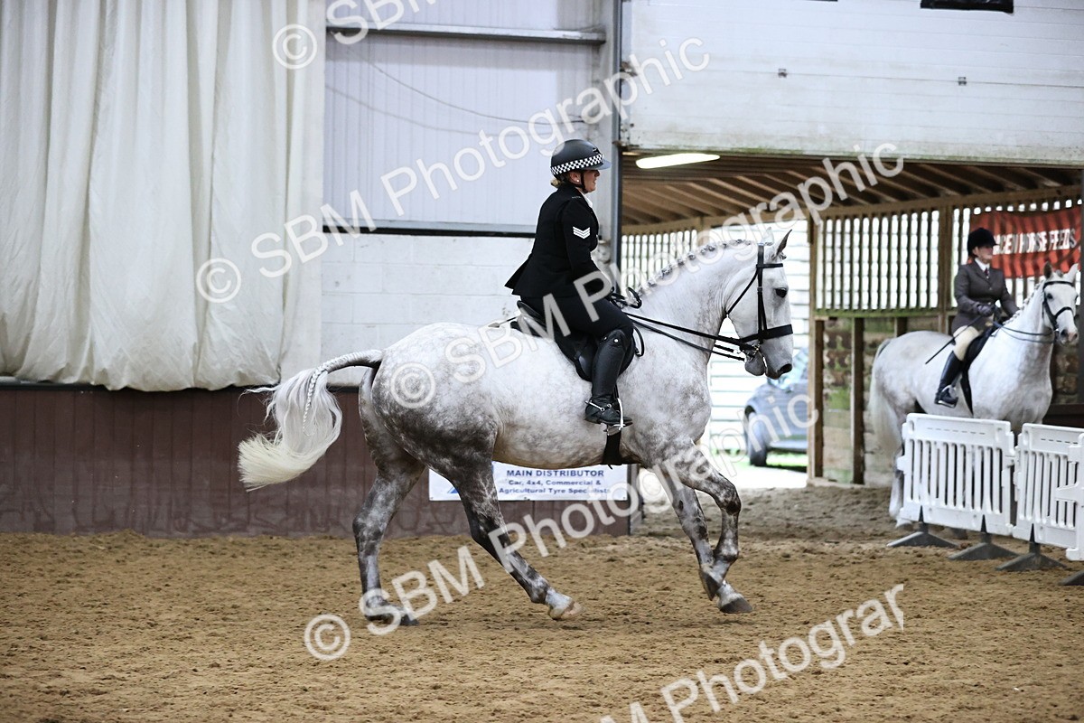SBM_6306 - Class 17 - IDHSG Challenge Pure Breed