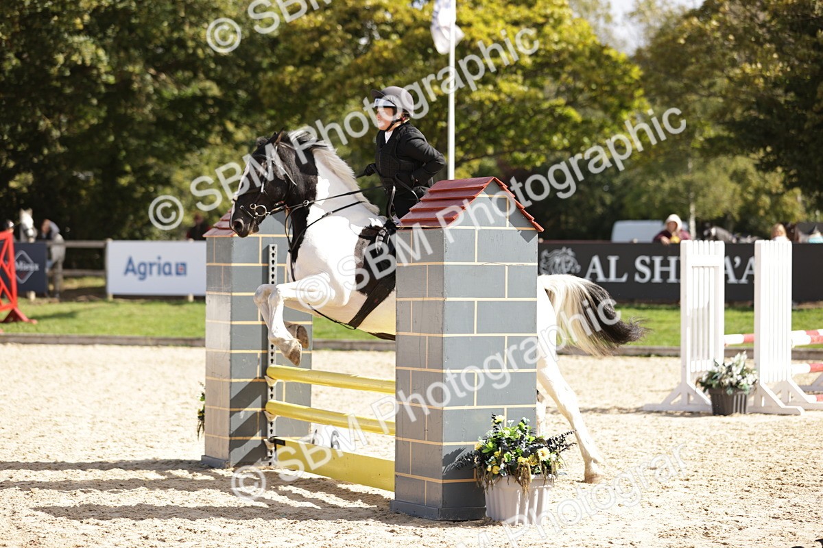 SBM_18482 - Supreme Championship