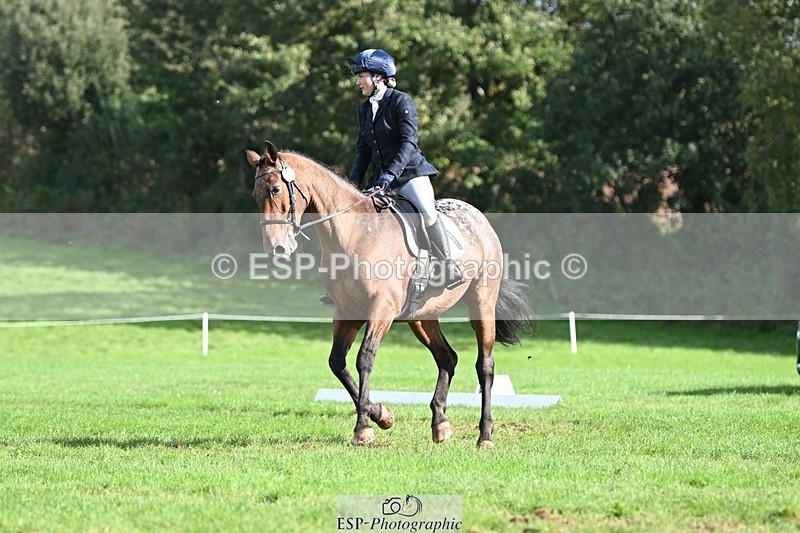 231020-115906-07956 - 482-ODDSPOT.VITAL.ELEMENT-Danielle.Davies-DR