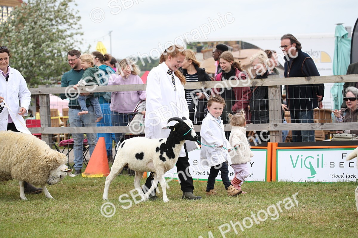 SBM_07786 - Grand Parade