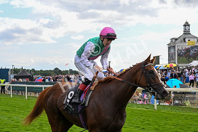 190826-Race 4-Item-0522 - Race 4 15.35pm Juddmonte International Stakes