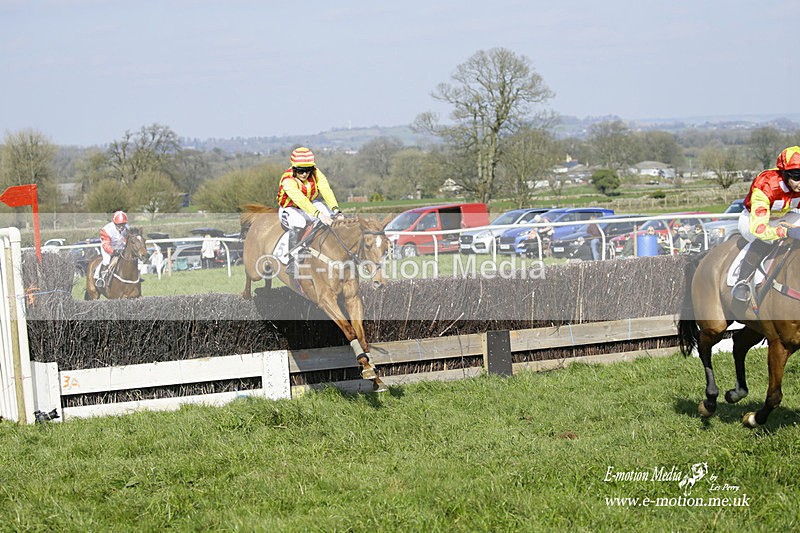 PtP 200322 232 - Mendip Farmers Point-to-Point 20/03/22