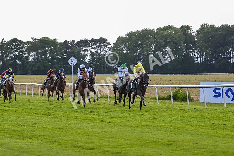 160624-Race 4-Align The Stars-8782 - Race 4