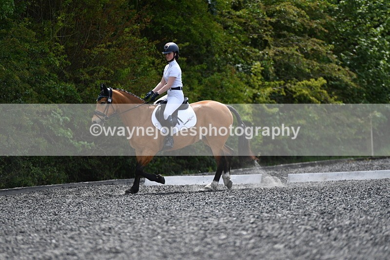 WJ5_0978 - Time 13:45 to 14:20