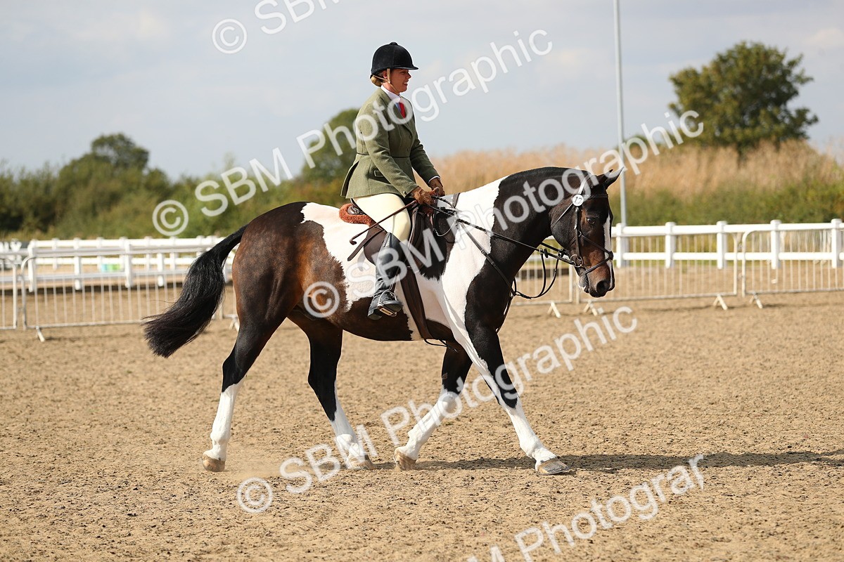 SBM_06818 - Class 49a Style & Performance 80cm (15-19)