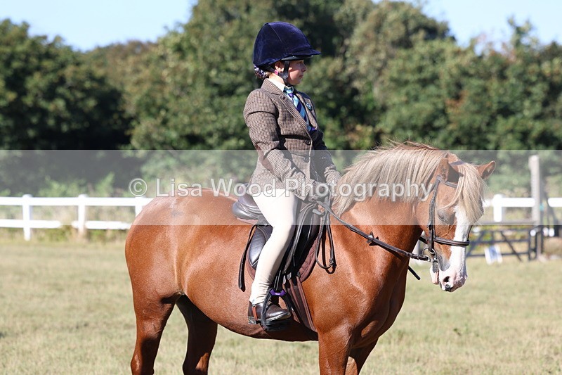 3E7A5371 - Class 2: Working Hunter 60cm