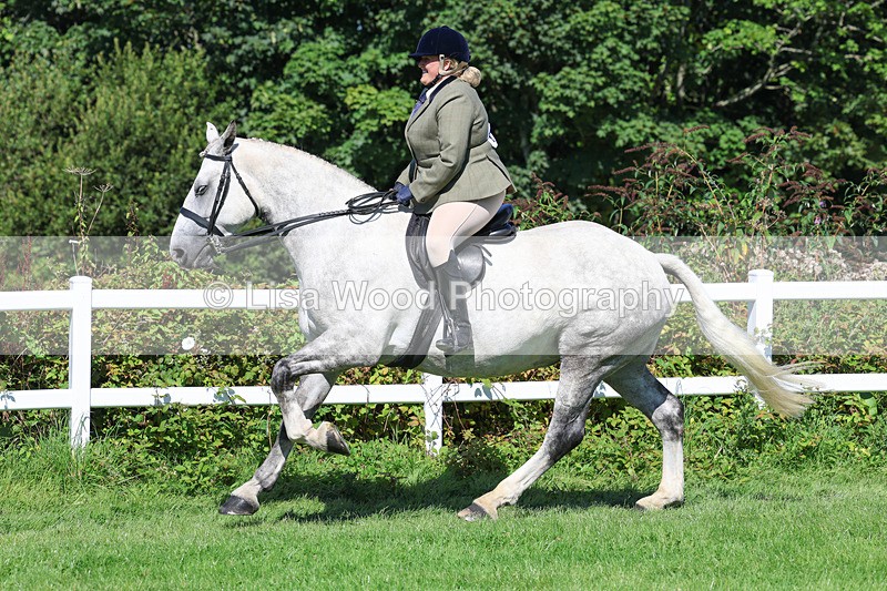 3E7A8396 - Class 4: Novice working Hunter