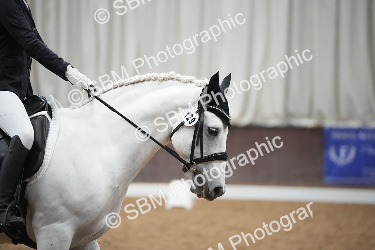 SBM_004703 - Class 11 - Elementary 2 Champs