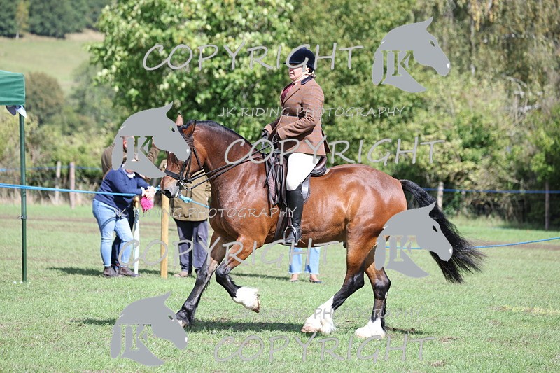 APP_3563 - Class 12 M&M ridden