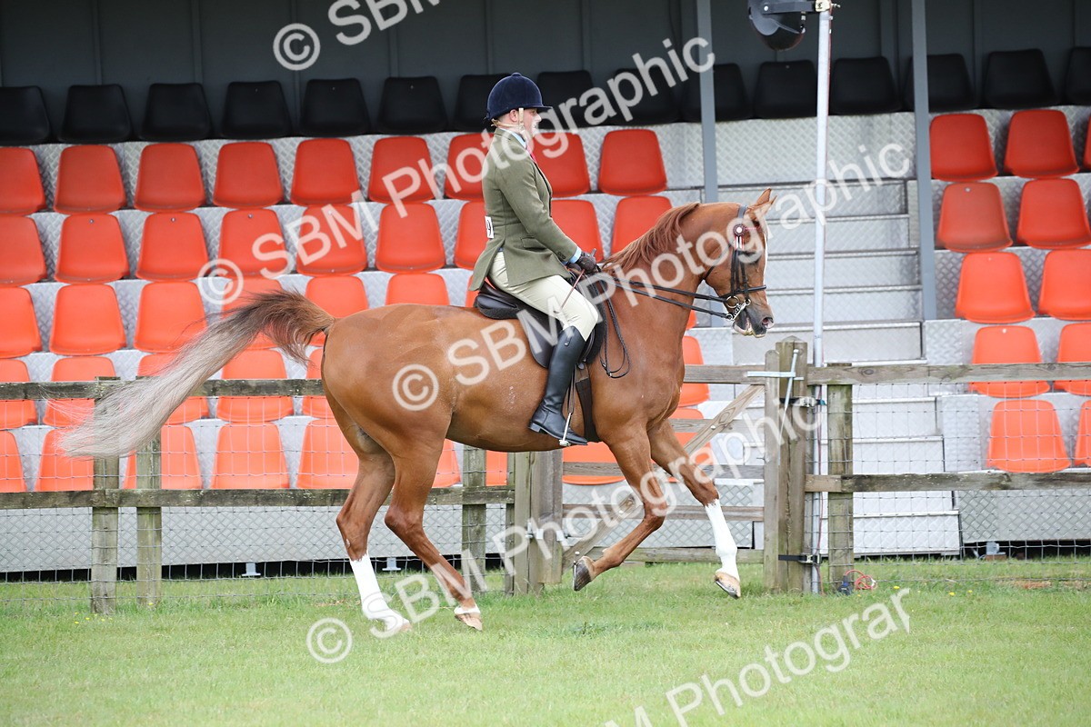 SBM_03614 - Class 21 - 22 - Ridden Arab and Part Bred/Anglo Arab