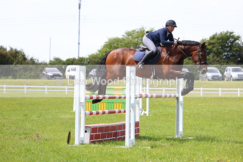 3E7A1373 - Class 12: Senior Foxhunter/1.20 open