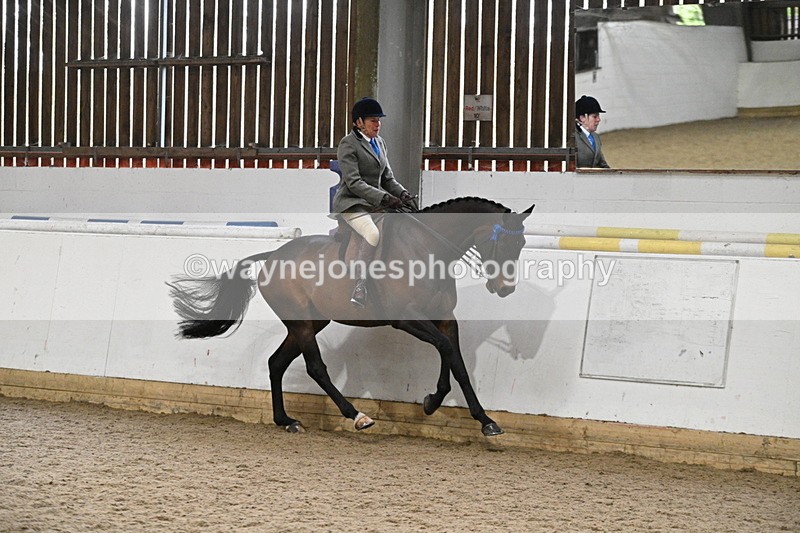 WJ7_4293 - Class 17 Ridden Cob