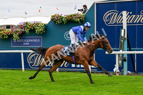 101025-Race 3-Mukhtalif-0238 - Race 3 William Hill Each Way Extra Handicap at York