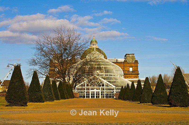 Winter Gardens, People's Palace, Glasgow - 7124 - Scotland