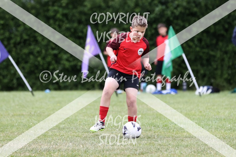 1DX30841 - Brook Field V Goddard Park