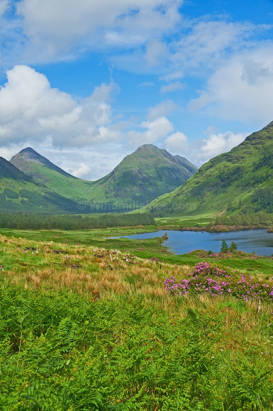 0624_46 - Scotland