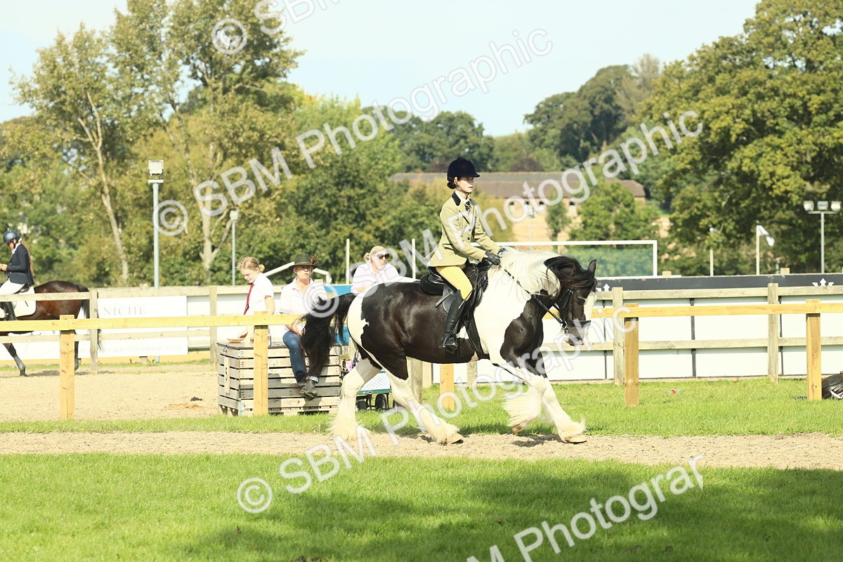 SBM_67607 - S56 - Coloured Pony Ridden