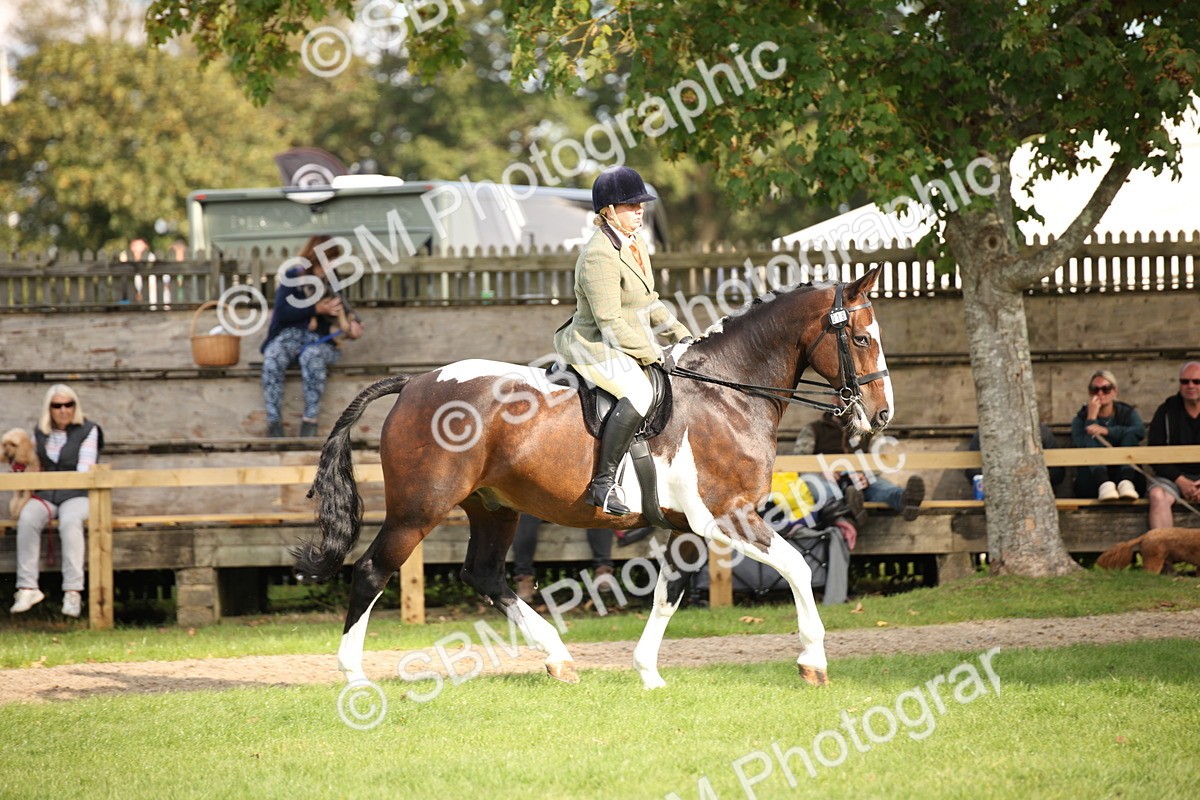 SBM_50171 - S26 - Young Veteran - Ridden