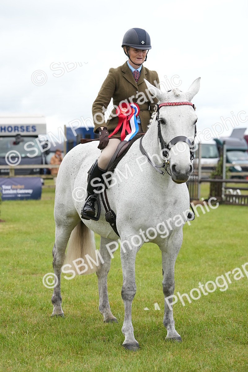 SBM_12858 - Class 97-98 - LIHS BSHA Rising Star Working Show Horse Hunter