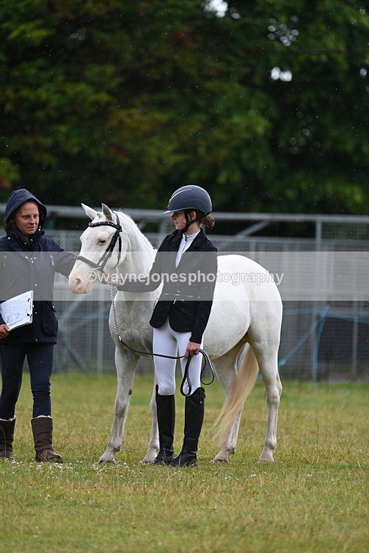 WJ7_5791 - Class 4 Prettiest Mare in Hand
