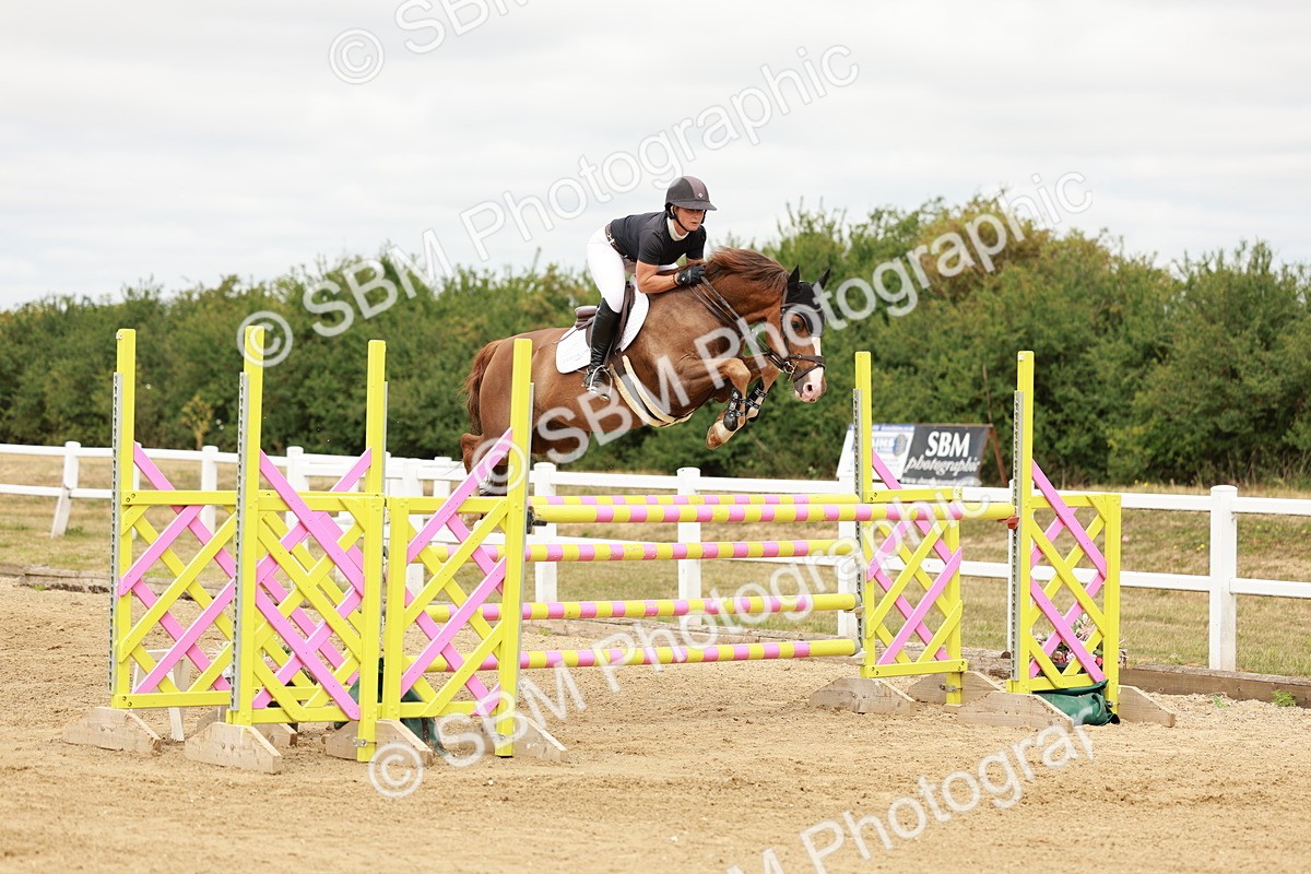 SBM_017486 - Class 21 - Senior Newcomers Championship 2d Rd