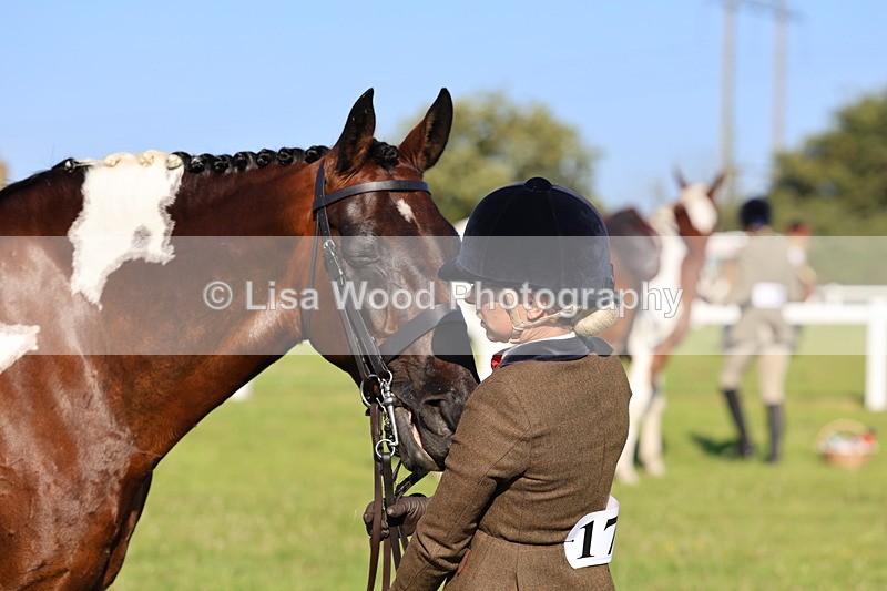 IMG_1326 - Class 27: Ridden Plaited Coloured Horse