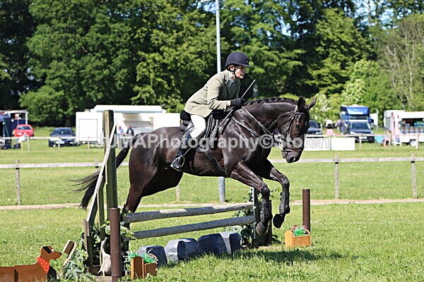 IMG_4138 - Working Hunter
