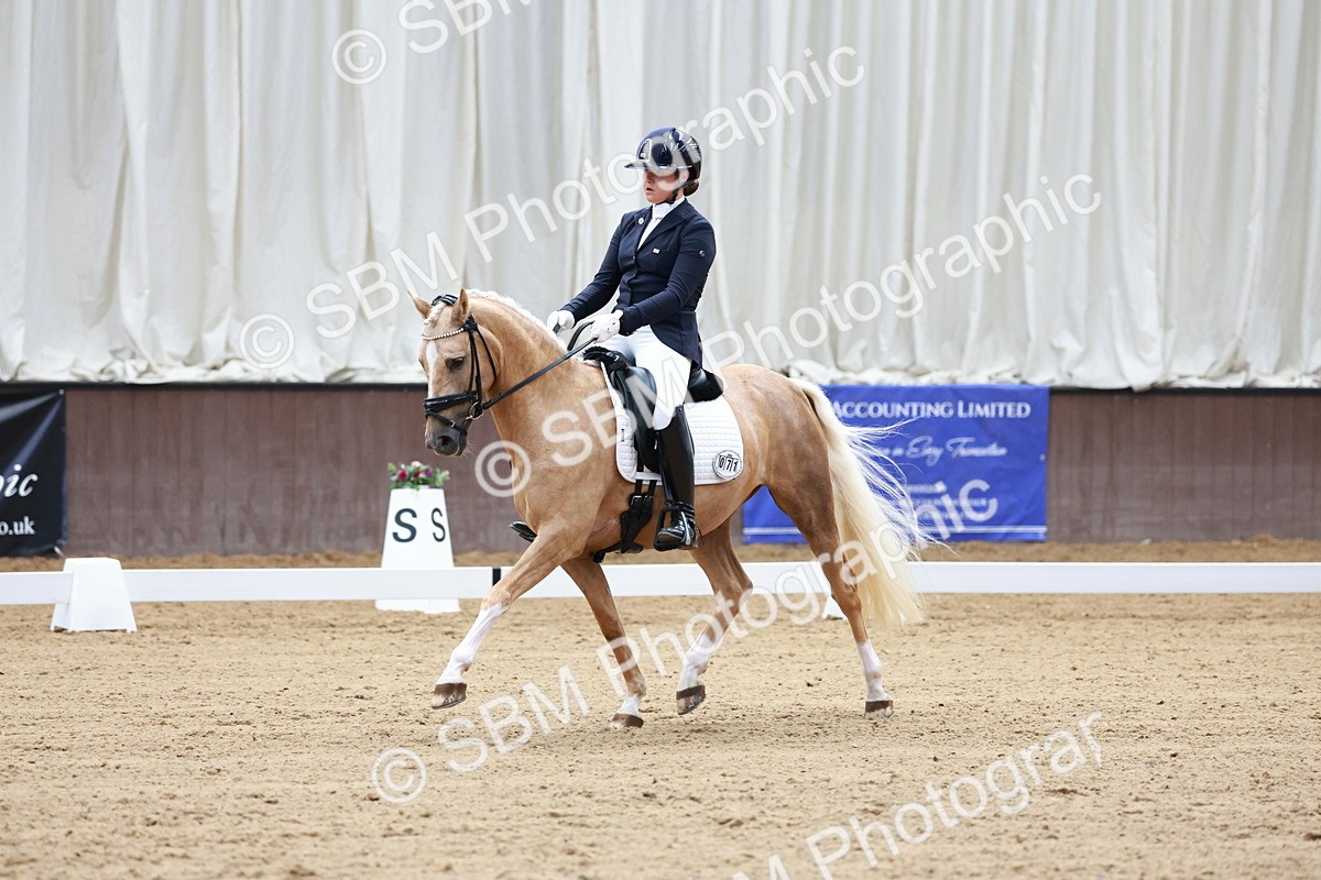 SBM_017313 - Class15 - FEI Pony