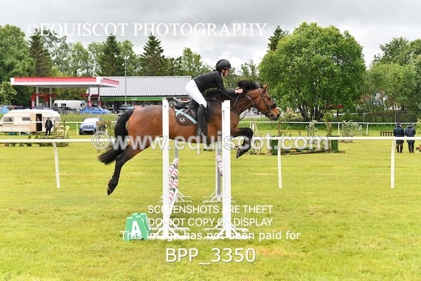 BPP_3350 - CLASS 5 SENIOR BR NOVICE/90CM OPEN