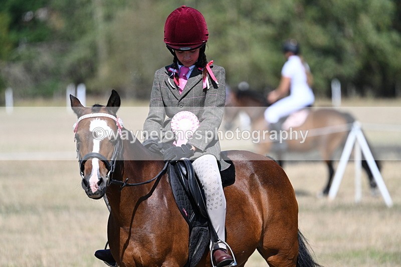 WJ7_4188 - Class 9 Mountain & Moorland Ridden