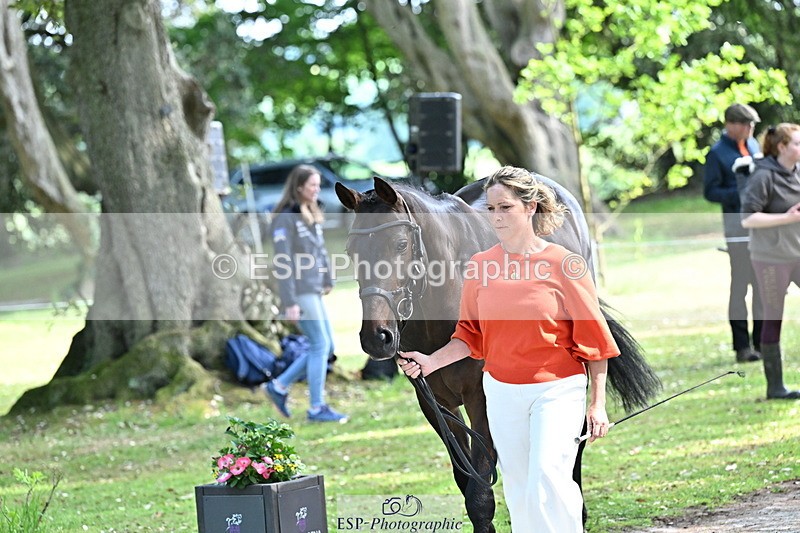 250521A-153445-00606 - B-319-Ali.Wilkes-JAZZ.ROOS