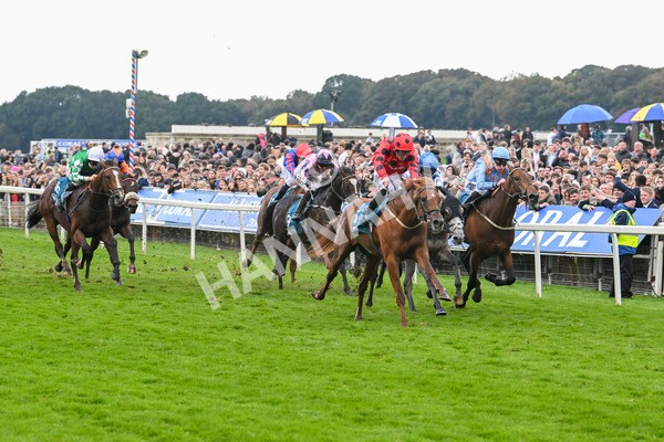 121024-Race 4-Fearless Freddy-3139 - Race 4 3.15pm Play Coral Racing-Super-Series For Free Nursery Handicap