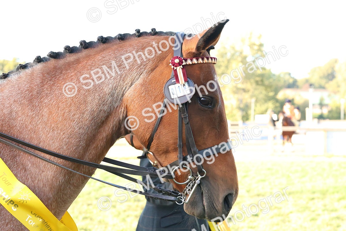 SBM_53175 - Veteran Supreme Championship
