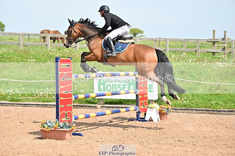 240510A-141419-07979 - Cls 23 Talent Seeker Inc 7yr old 14.10 to Finish