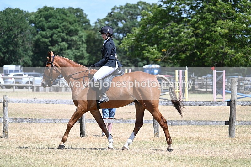WJ7_2775 - Class 7 Riding Club Show Horse