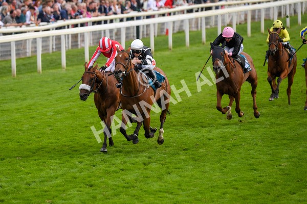 250823-Race 5-Reach-0862 - Race 5 4.10pm Assured Data Protection EBF Fillies' Handicap