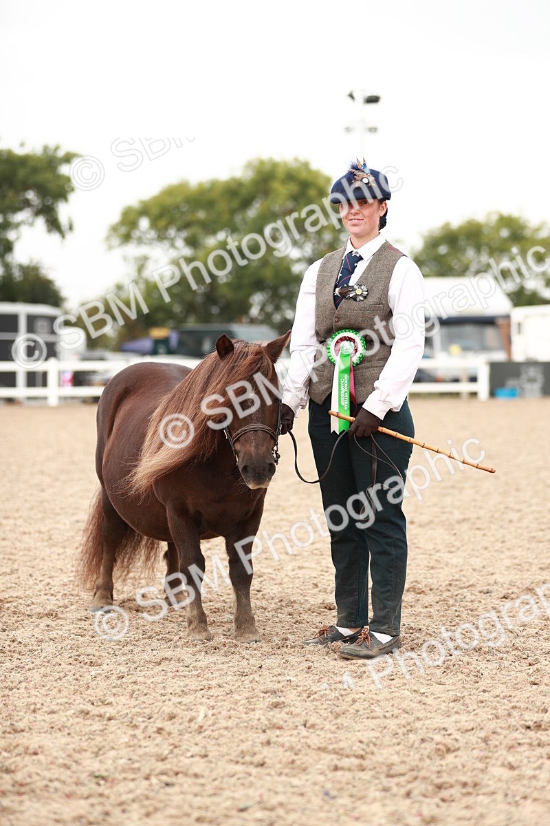 SBM_11928 - Class 206 IH Non Show Type Pony