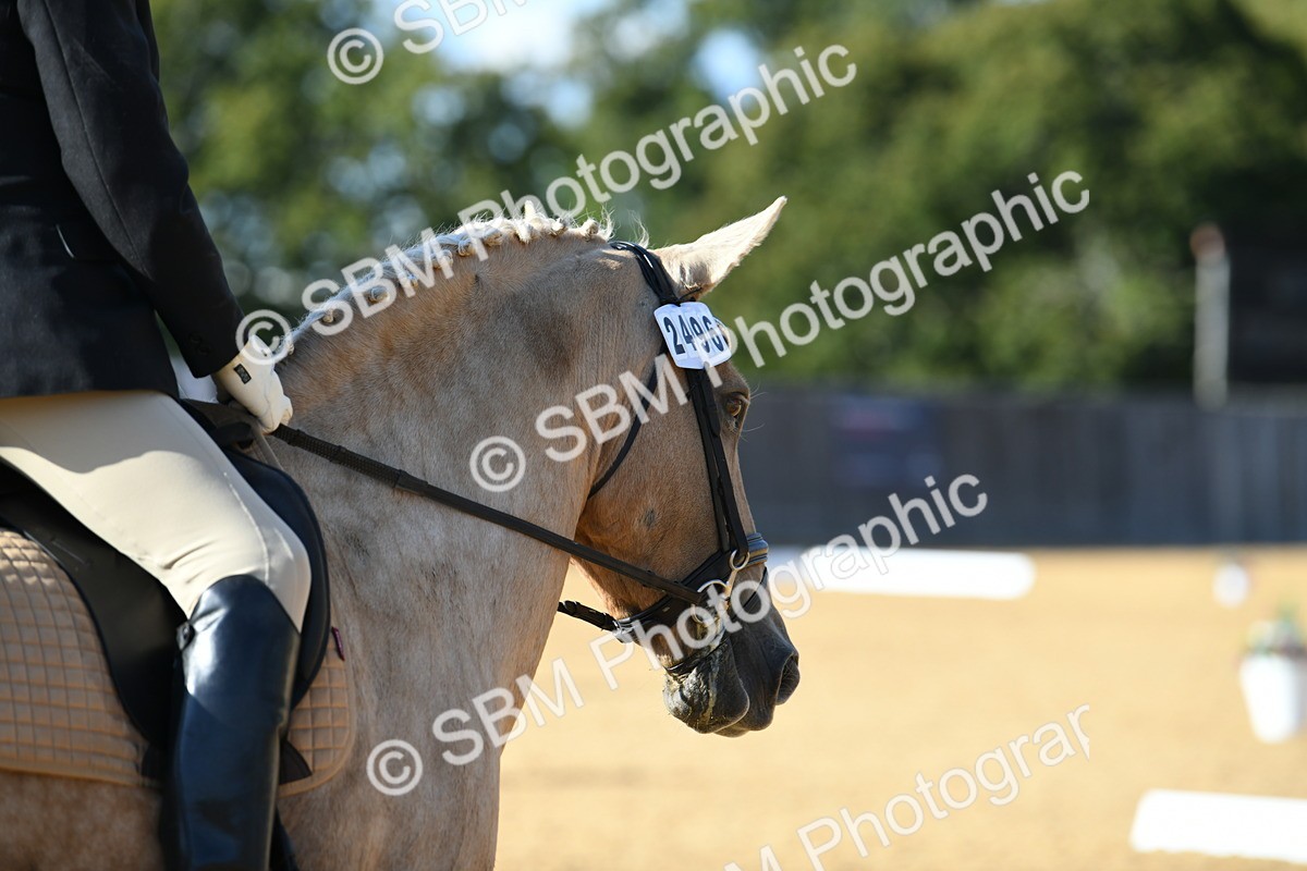 SBM_27245 - D16 - Small Tour Championship - Novice 28