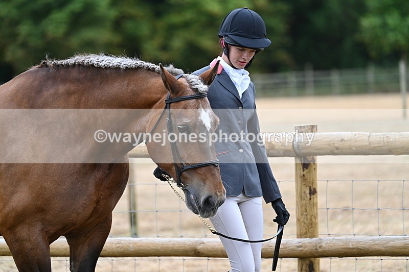 WJ7_8900 - Class 4a Prettiest Mare 14.2hh and over