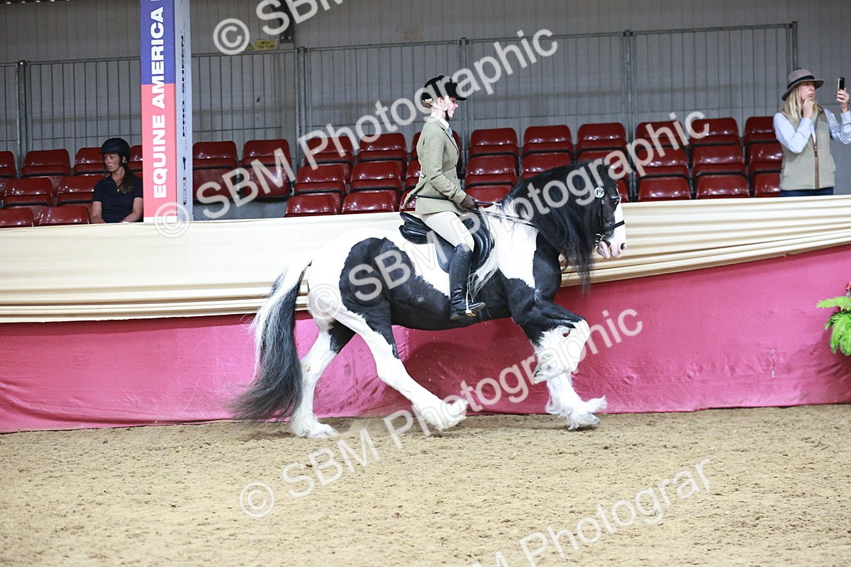 SBM_08774 - Class 12R - Regional Ridden Pre-Vet