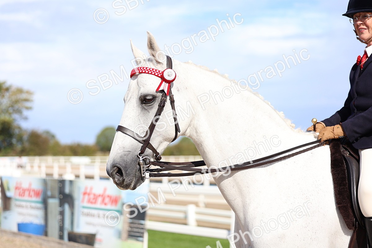 SBM_17601 - Class 805 - Ridden Veteran Horse